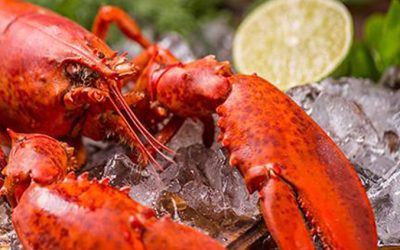 Northern Wind to Showcase its Line of MSC Certified North Atlantic Lobster at Seafood Expo North America.